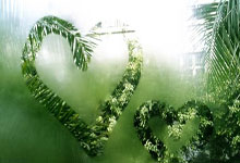 PG模拟器体育：[天下足球]希克破门 勒沃库森客场战平波鸿.