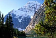 PG模拟器体育：[棋牌]奇略研究所：被赵治勋击中腰眼的二枚腰.