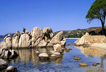 PG模拟器体育：[天下足球]希克破门 勒沃库森客场战平波鸿.